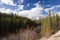 Maligne river in the Jasper national park