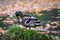 Mallard duck on fallen tree