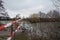 Mallards, moorhens, coots crawled out onto the shore of the lake in winter in search of food. Berlin, Germany