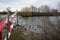 Mallards, moorhens, coots crawled out onto the shore of the lake in winter in search of food. Berlin, Germany