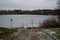 Mallards, moorhens, coots crawled out onto the shores of the lake in winter in search of food. Berlin, Germany