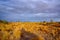 Mallee Desert Stormy Sky