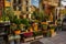 MALMO, SWEDEN: Beautiful showcase and exhibition for sale of a flower shop