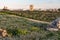 Malta`s quiet south: fields of wildflowers near Dingli