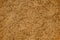 Malted Wheat Grain texture. Rich Harvest concept. Grains close-up