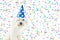 MALTESE BICHON DOG CELERATION WITH CONFETTI AND PARTY BLUE POLK