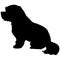 Maltese dog sitting side body silhouette