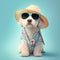 Maltese dog summer attire clothes. Summer maltese dog breed in cute pose wearing beach outfit