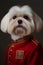 Maltese dog wearing military army uniform, service dog, creative headshot portrait. Generative AI