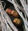 Maltese Fruit ready for harvest