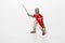 Maltese Knight on a white background. Toy for children