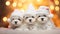 Maltese puppies in white santa hats lying in front view