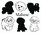 Maltese set. Collection of pedigree dogs. Black and white illustration of a Maltese dog. Vector drawing of a pet. Tattoo