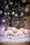 Malteser puppies sleeping under Christmass tree 2