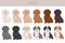 Maltipoo clipart. Maltese Poodle mix. Different coat colors set