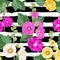 Malva Flower Seamless Pattern. Summer Floral Background with Flowers. Watercolor Blooming Design for Wallpaper, Fabric