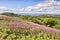 Malvern Hills in Autumn UK