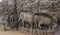 Mamallapuram, with its striking bas-reliefs and stone temples, is an open-air museum. India