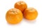 Mamami orange , japanese high quality citrus fruit