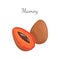 Mamey Exotic Juicy Fruit Vector Whole and Cut Icon
