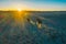 Mammals - European bison. Bison bonasus on sundown.Belarus