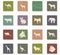 Mammals icon set