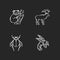 Mammals and insects chalk white icons set on black background