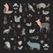 Mammals vector collection