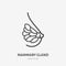 Mammary gland flat line icon. Vector thin pictogram of female breast anatomy, outline illustration for medical clinic