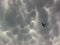 Mammatus Dark Storm Clouds and Lite Plane