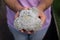 Mammillaria plumosa , Cactus in the hand of a woman in the nursery