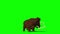 Mammoth attack Prehistoric Animal Jurassic 3D Rendering Greenscreen Chroma Key