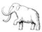 Mammoth. Black and white vector illustration