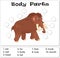 Mammoth body parts