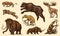 Mammoth or extinct elephant, Woolly rhinoceros Cave bear lion. Panthera Saber toothed tiger, Irish elk or deer, Ground