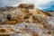 Mammoth Hot Springs