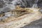 Mammoth Hot Springs Terraces