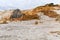 Mammoth Hot Springs Terraces Yellowstone