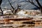 Mammoth Hot Springs at Yellowstone National Park 2