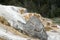 Mammoth Hotsprings