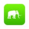 Mammoth icon green vector