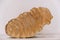 Mammoth petrified tooth on a white background. Copy, empty space for text