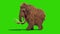 Mammoth Real Fur Walkcycle Jurassic Side Green Screen 3D Rendering Animation