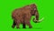 Mammoth Real Fur Walks Jurassic Side Green Screen 3D Rendering Animation