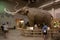 Mammoth Site Of Hot Springs, South Dakota.