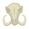 Mammoth skull isolated head stone age prehistoric animal remains
