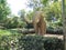 Mammoth statue in Ciutadella park, Barcelona, Spain