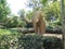 Mammoth statue in Parc de la Ciutadella in Barcelona, Spain