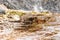 Mammoth Terraces, Yellowstone National Park, Wyoming, USA