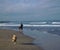 Man and 2 dogs walking on Seminyak Beach Bali